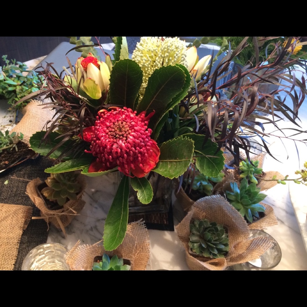 Meet your Posher, Karen